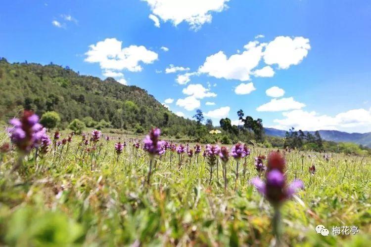 探索世界,与蜗牛一起探讨—赵达声什么电视剧问答平台